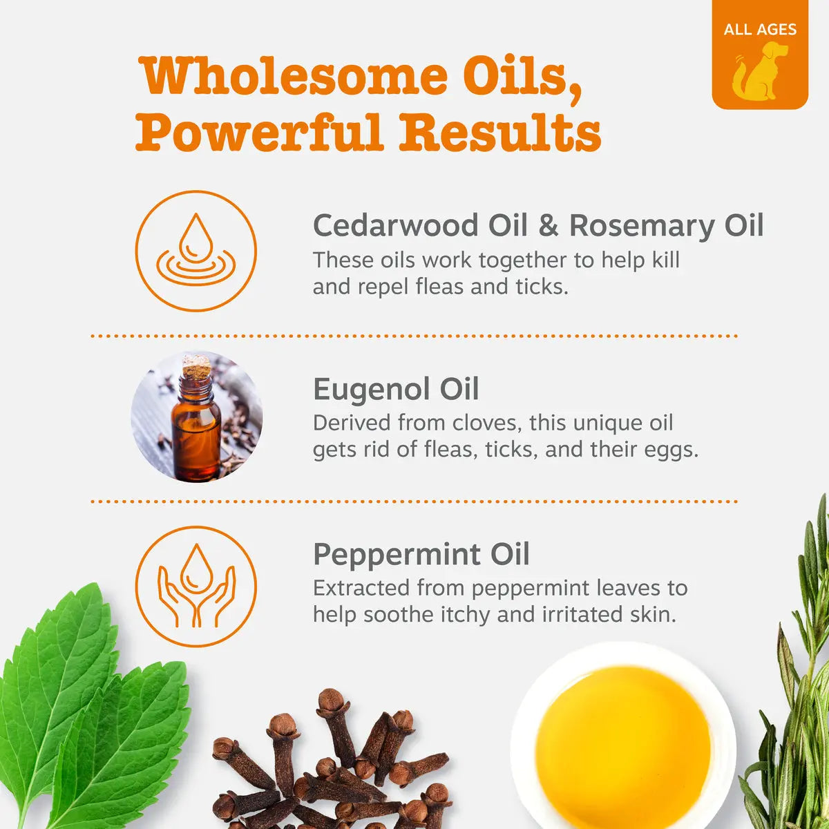 Zesty Paws Flea & Tick Removal Shampoo for Dogs - 16-Fl Oz Natural Soothing Deodorizing Cleaning Formula with Cedarwood Oil & Peppermint for Skin & Coat Care