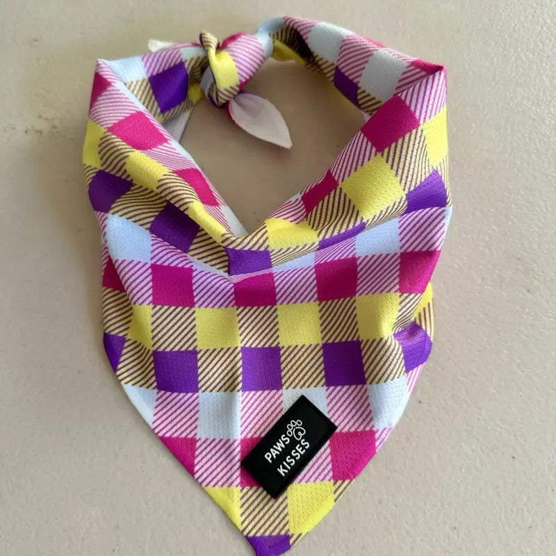 Cooling Bandanas for Dogs - Stay Cool in All Seasons!