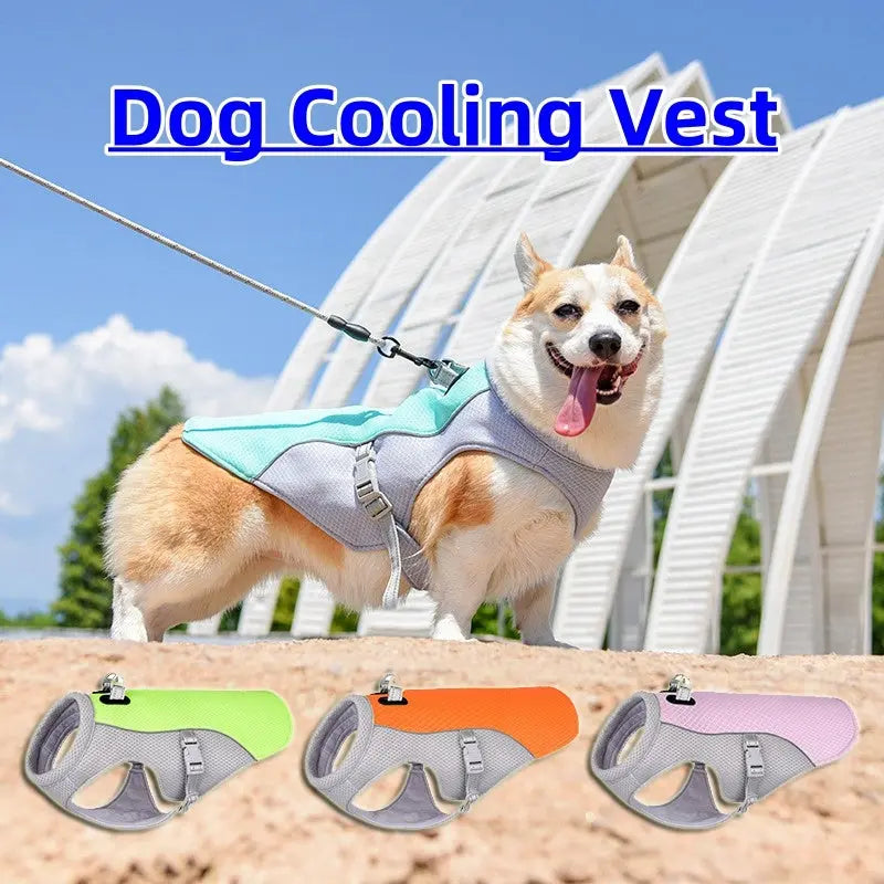 Dog Cooling Harness