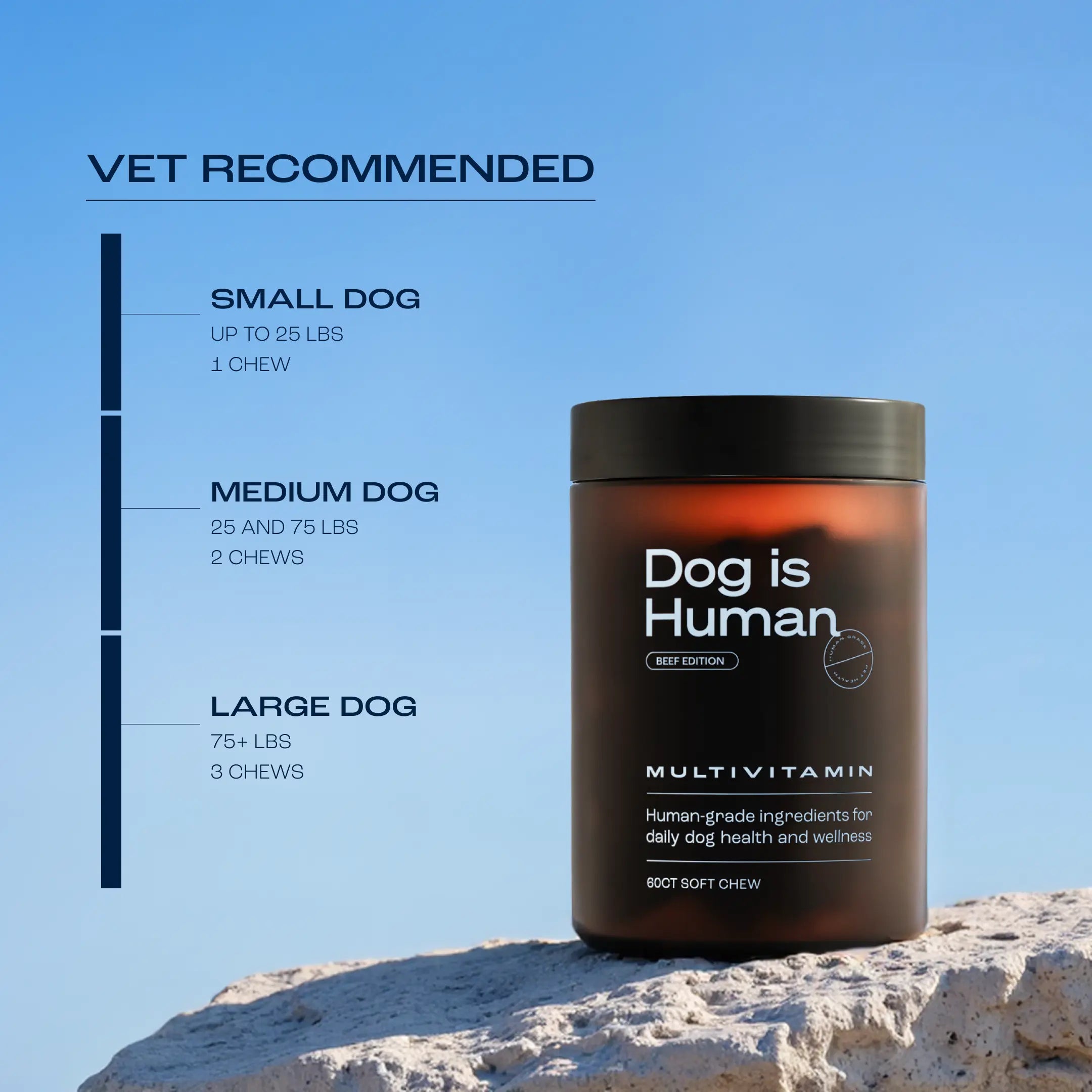 Dog Is Human Daily Multivitamin for Dogs (Beef Flavor) Vet-Formulated