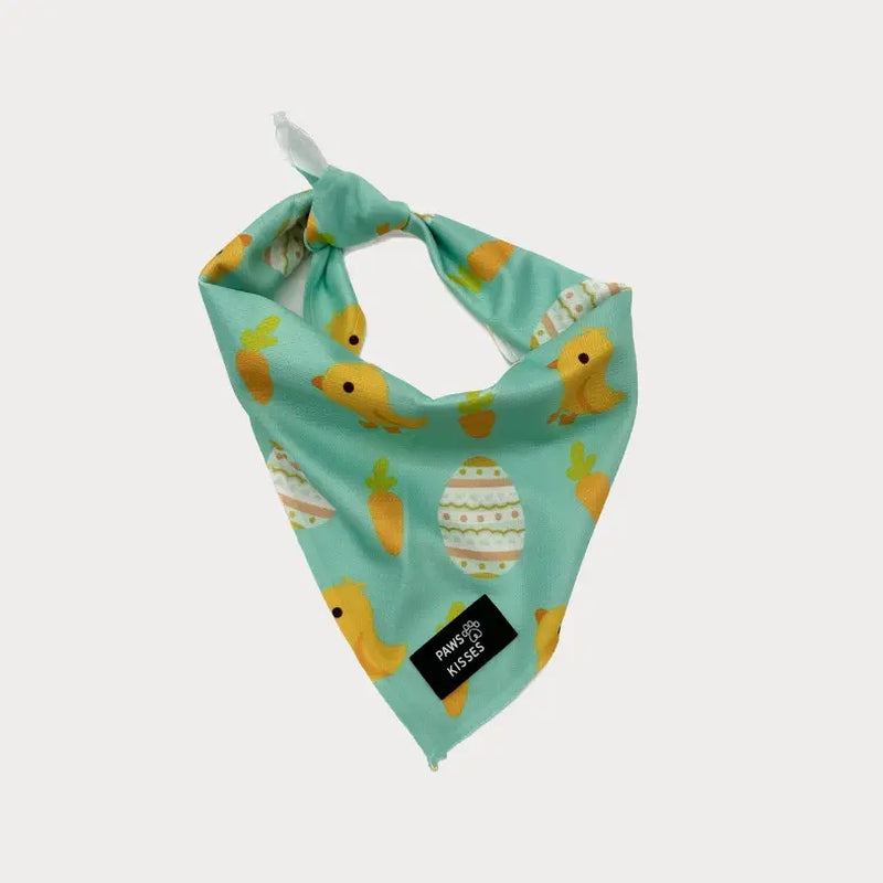 Cooling Bandanas for Dogs - Stay Cool in All Seasons!