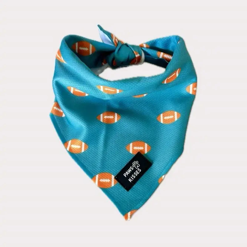 Cooling Bandanas for Dogs - Stay Cool in All Seasons!