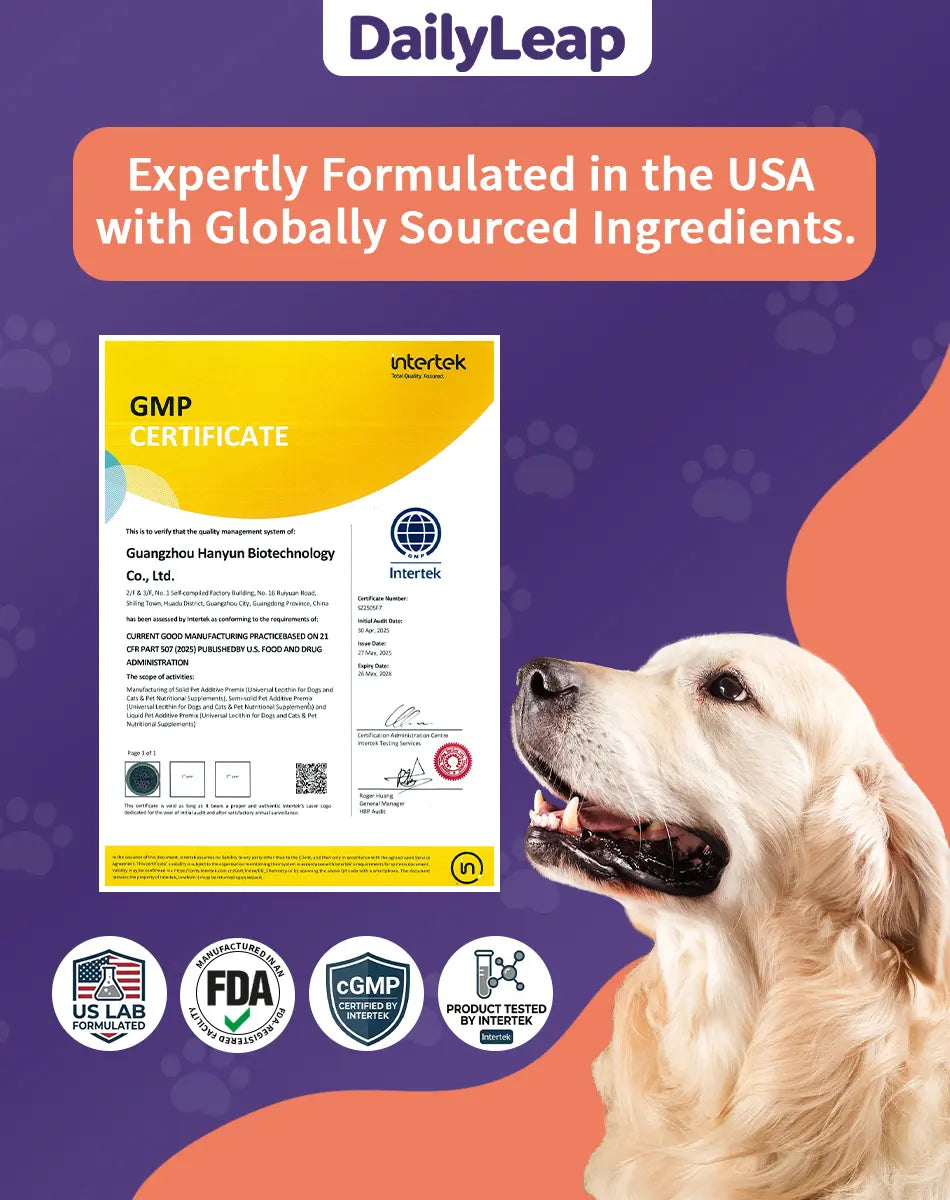 Dailyleap - Supports Hip & Joint Health, 90 Soft Chews