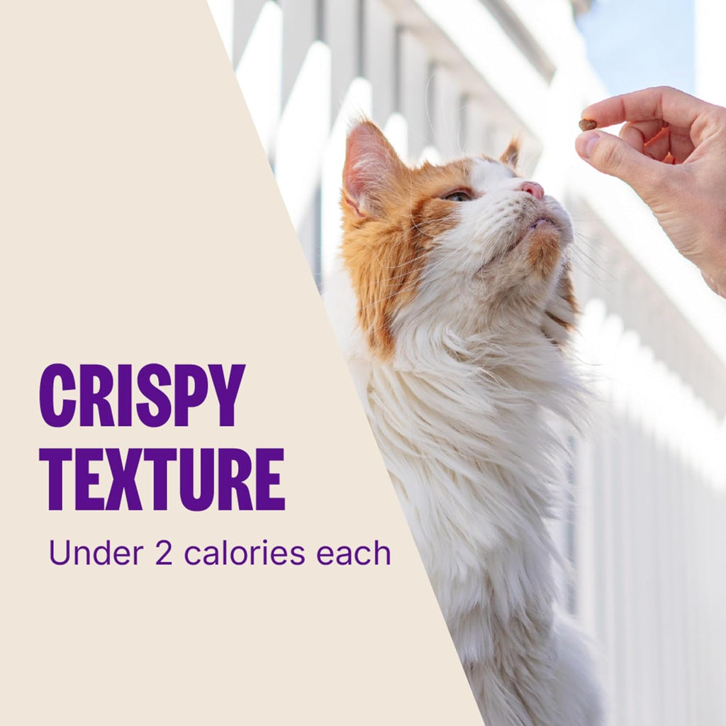 Kittles Crunchy Natural Grain Free Cat Treats, Salmon & Cranberries Recipe, 6-Ounce Bag