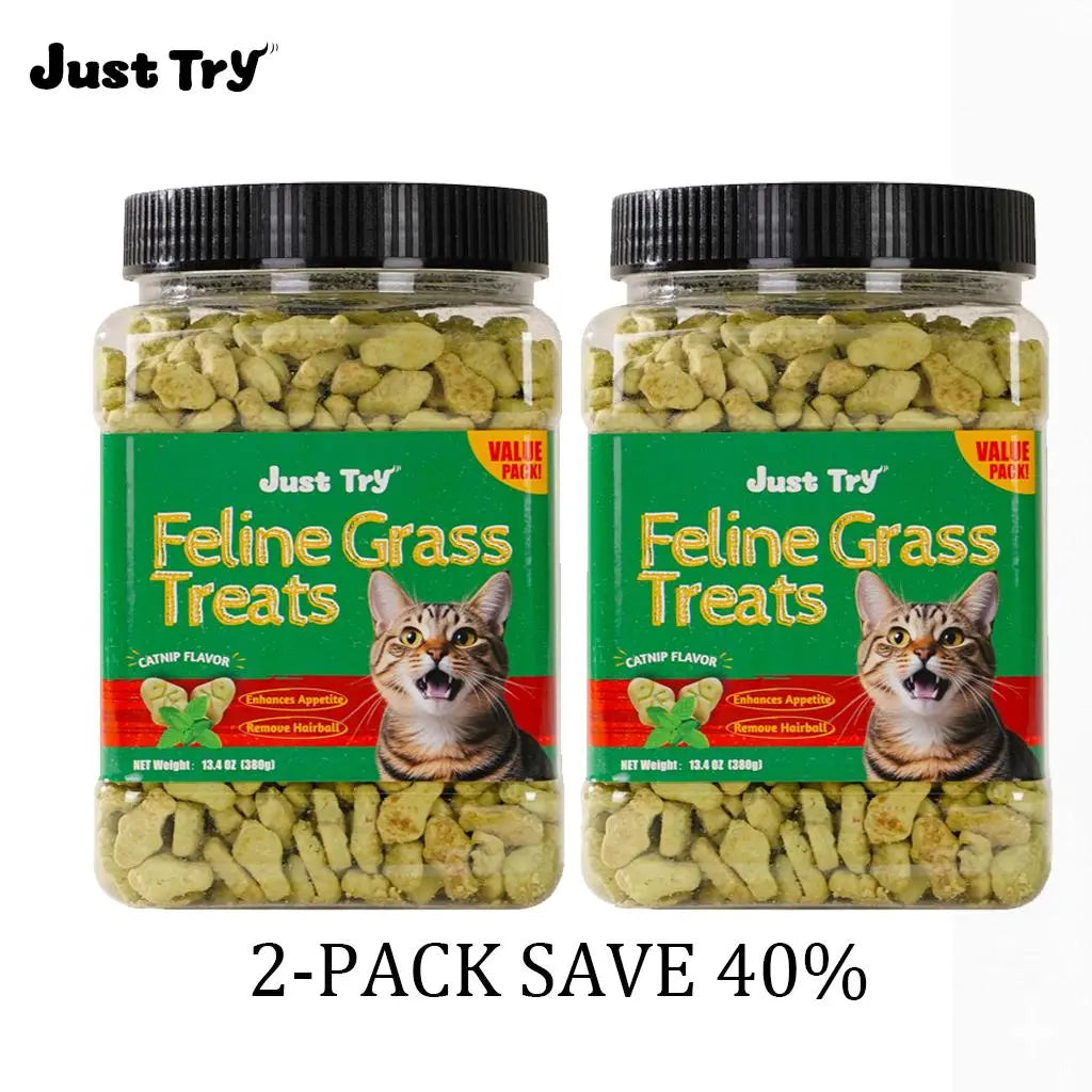 Just Try 2PCS Cat Grass Treats with Salmon & Catnip | Hairball Control and Training Treats | Teeth Cleaning Snack Reduce Plaque (13.4Oz, Salmon & Catnip Flavor)