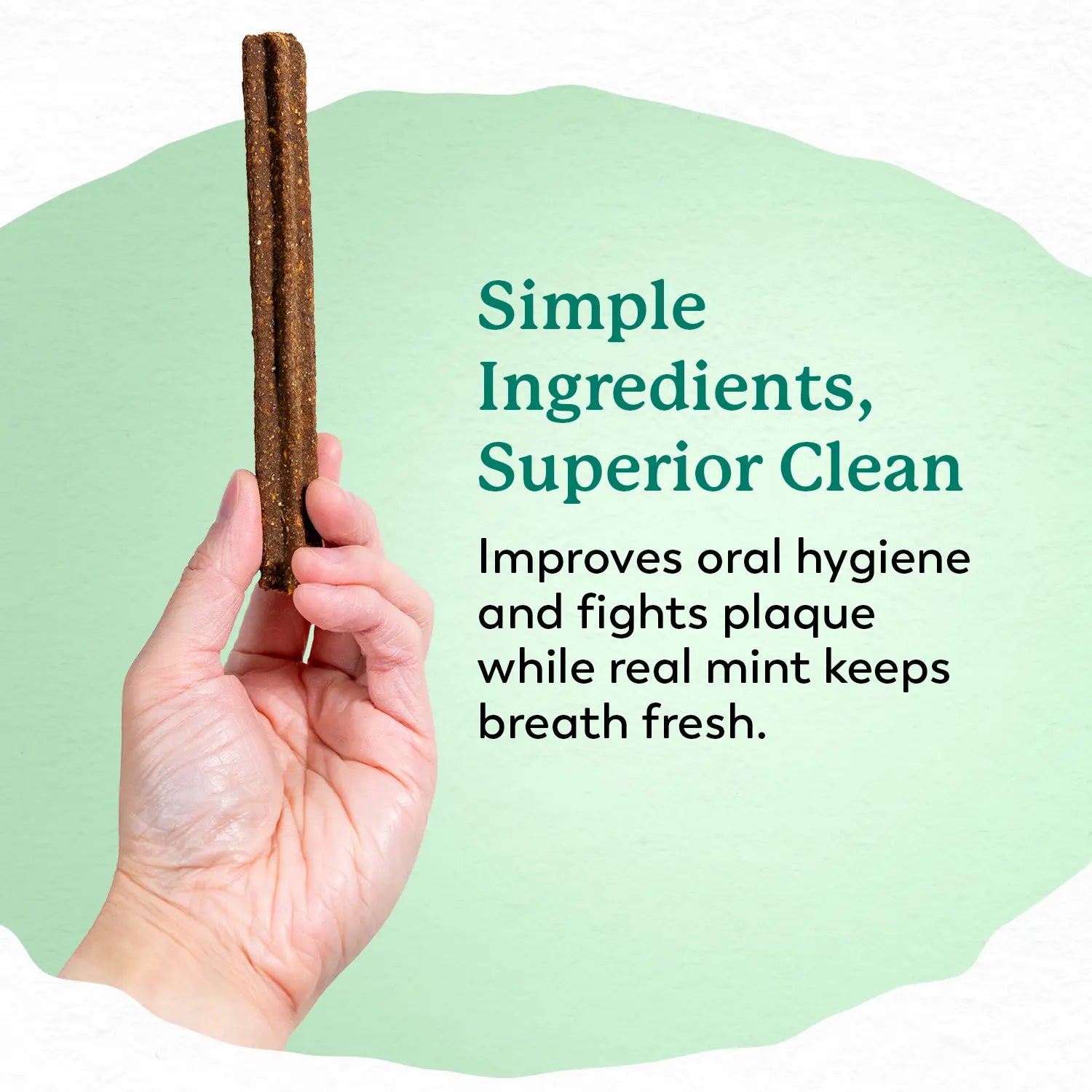Dr. Harvey'S Holistix Dental Chews for Dogs -(24 Sticks)