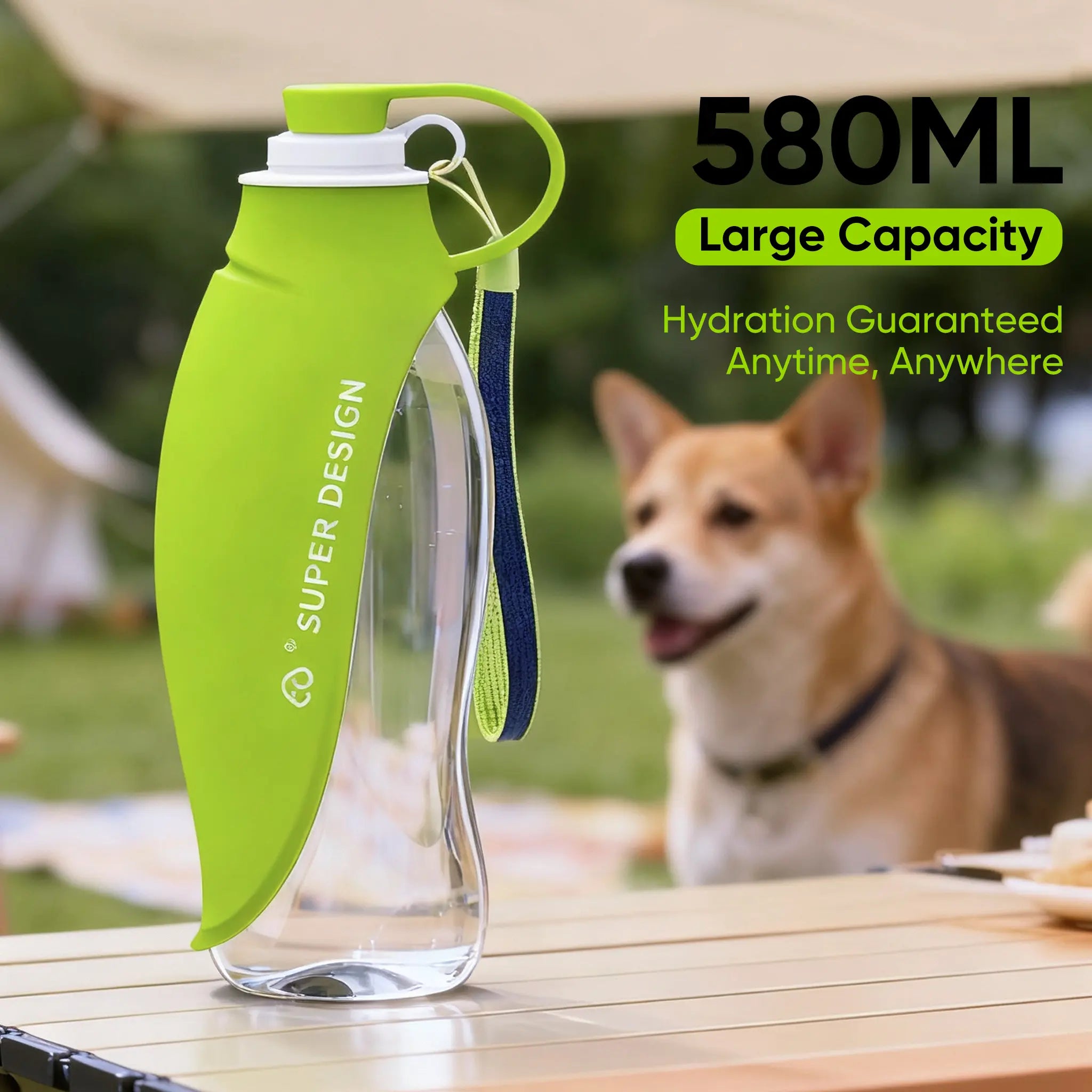 Pet Water Bottle for Dogs and Cats, Essential!