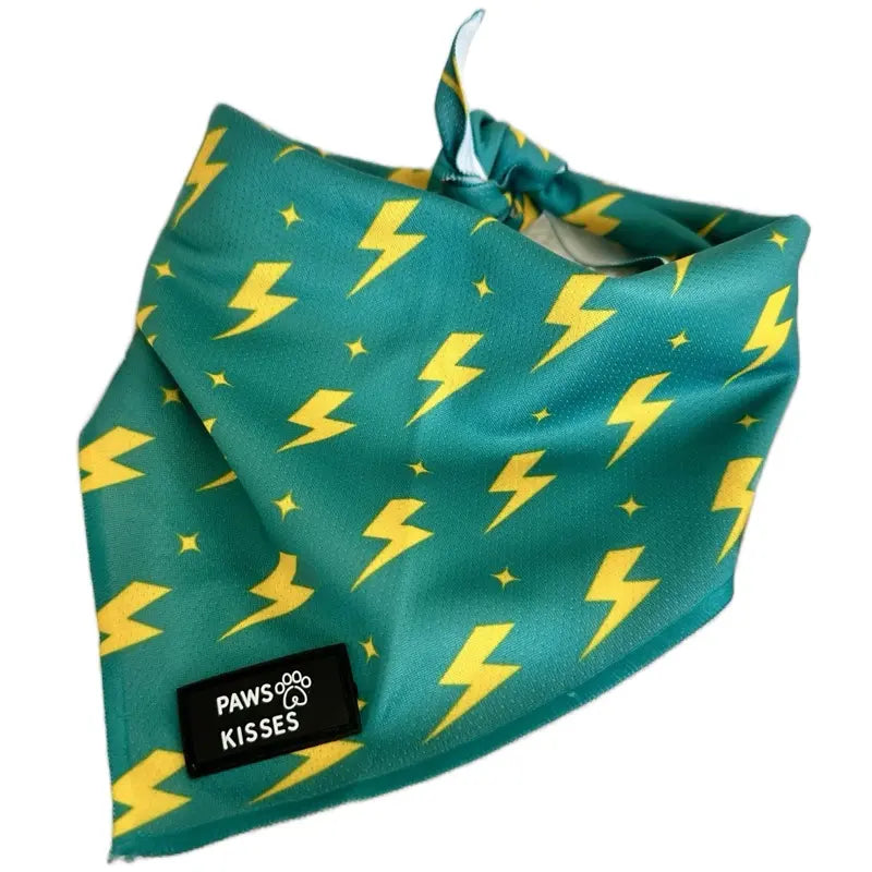 Cooling Bandanas for Dogs - Stay Cool in All Seasons!