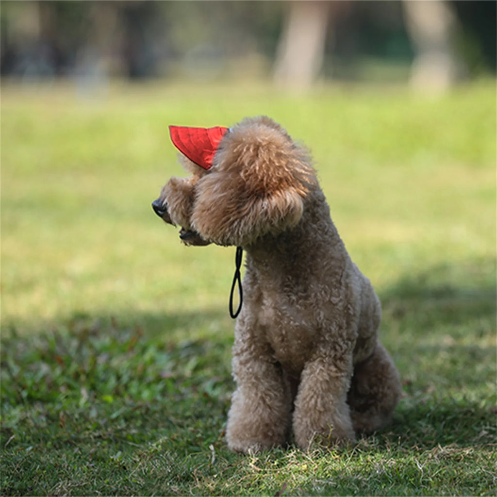 Adjustable Dog Travel Cute Baseball Hat 