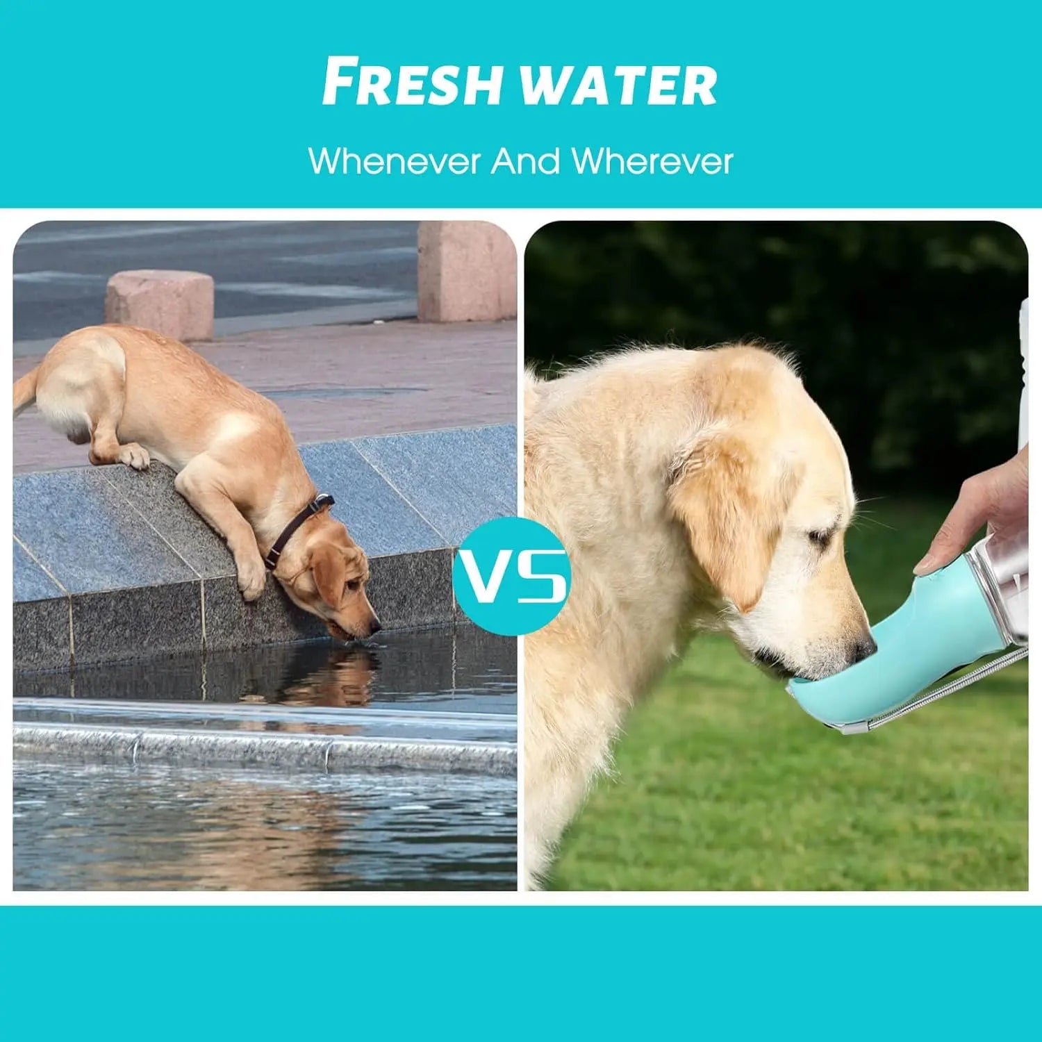 Dog Water Bottle 19Oz, Leak-Proof and Portable