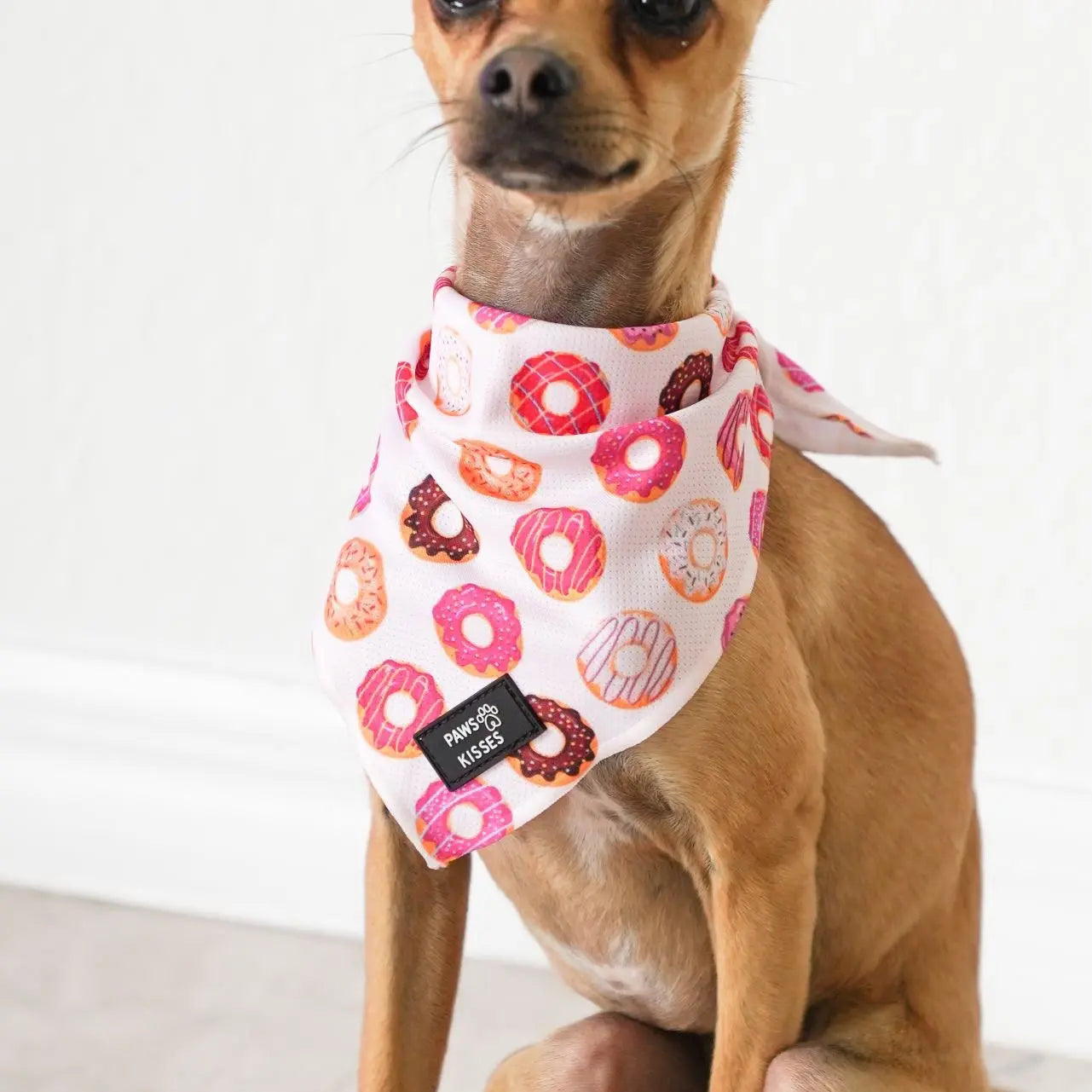 Cooling Bandanas for Dogs - Stay Cool in All Seasons!