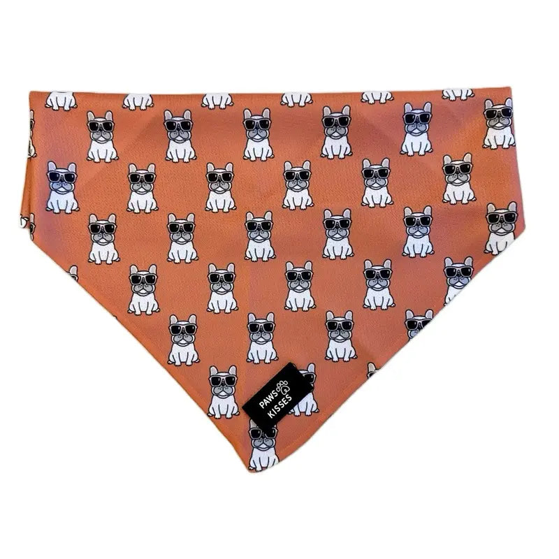 Cooling Bandanas for Dogs - Stay Cool in All Seasons!