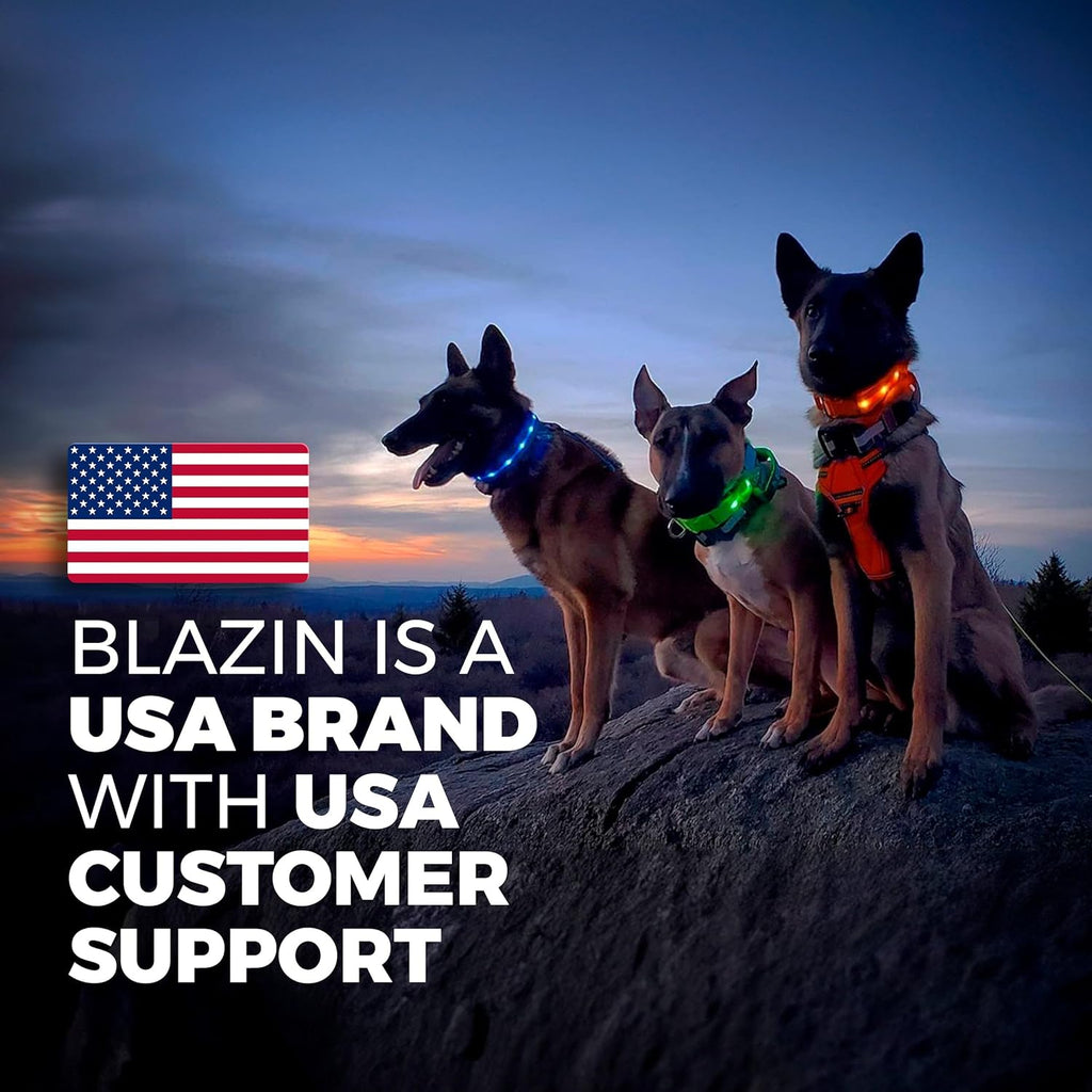 Light up LED Dog Collar - USB Rechargeable - Waterproof - 1,000 Feet of Visibility 