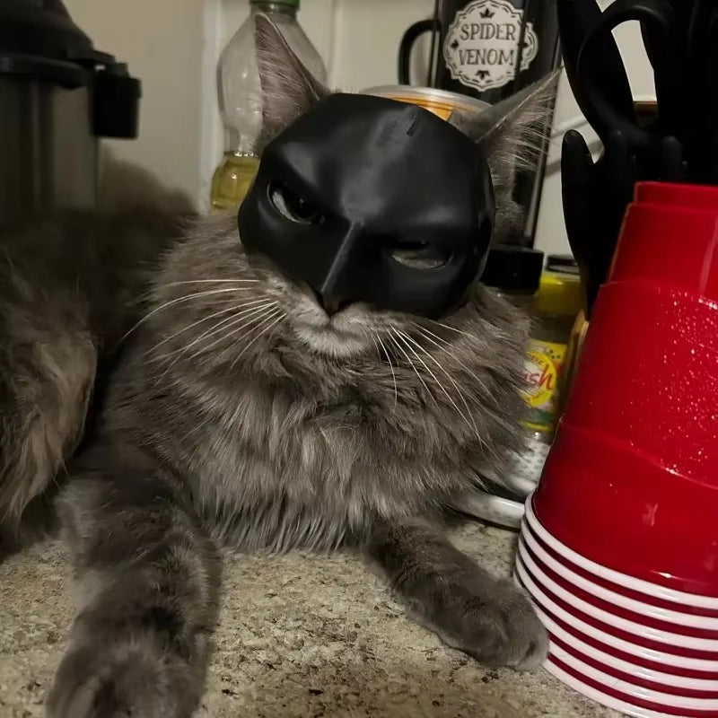 Cat Mask - Cute Bat Design 
