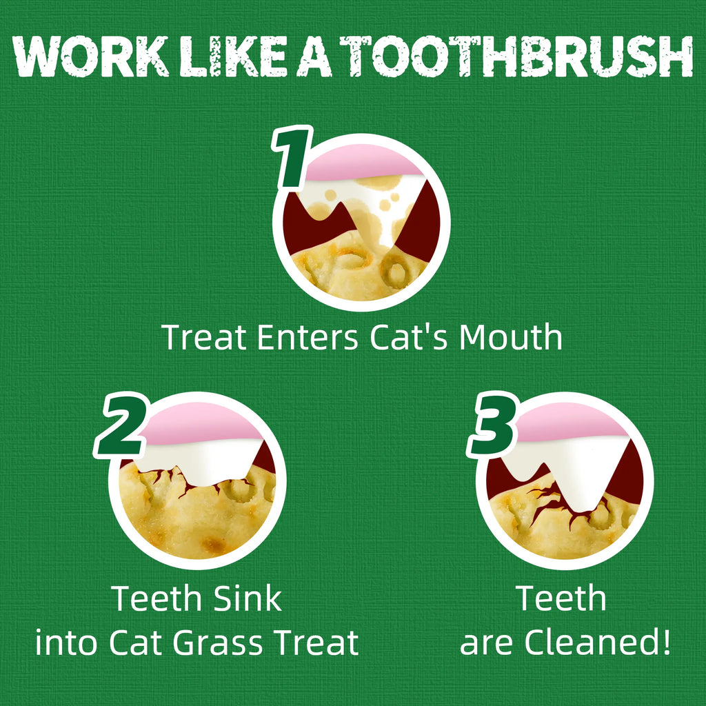 Just Try 2PCS Cat Grass Treats with Salmon & Catnip | Hairball Control and Training Treats | Teeth Cleaning Snack Reduce Plaque (13.4Oz, Salmon & Catnip Flavor)