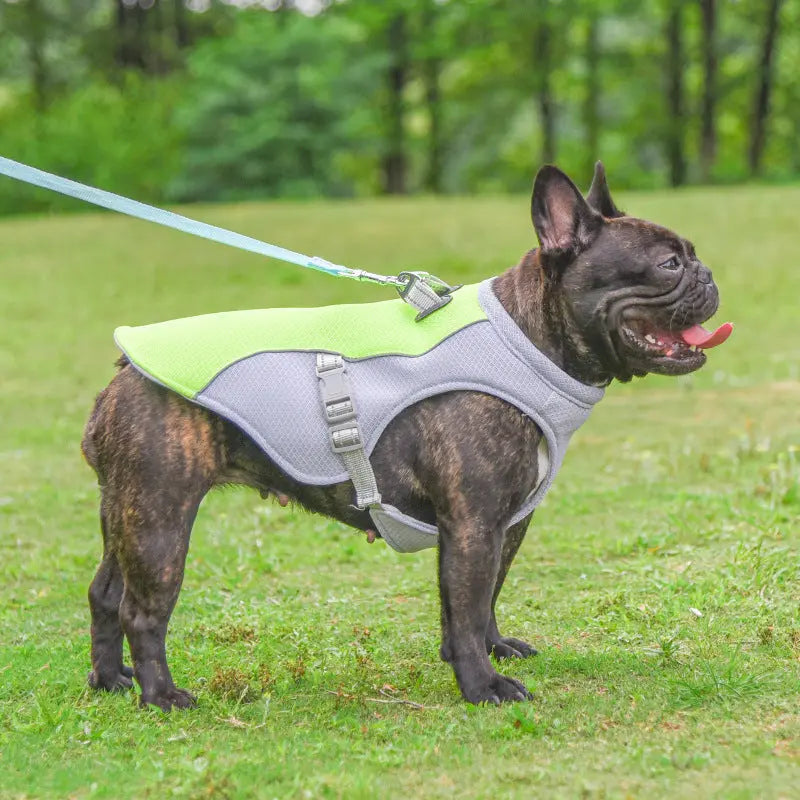 Dog Cooling Harness