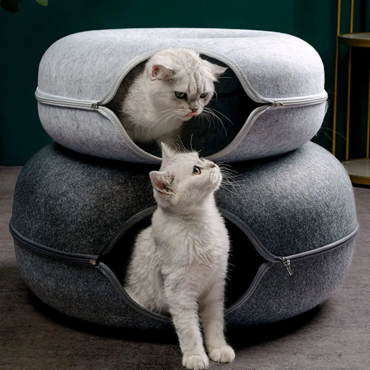 Donut Cat Bed, Interactive Tunnel 