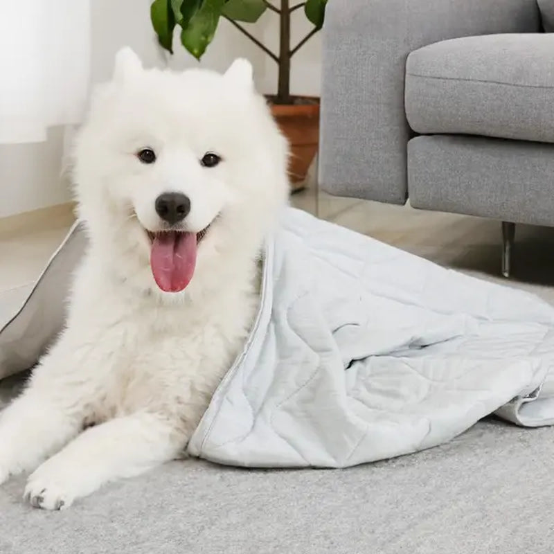 Cooling Dog Mat, Durable Cooling Soft Surface, Washable Dog Blanket