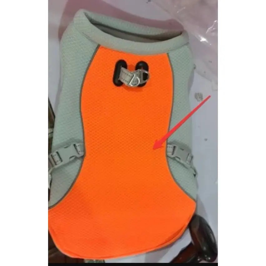 Dog Cooling Harness