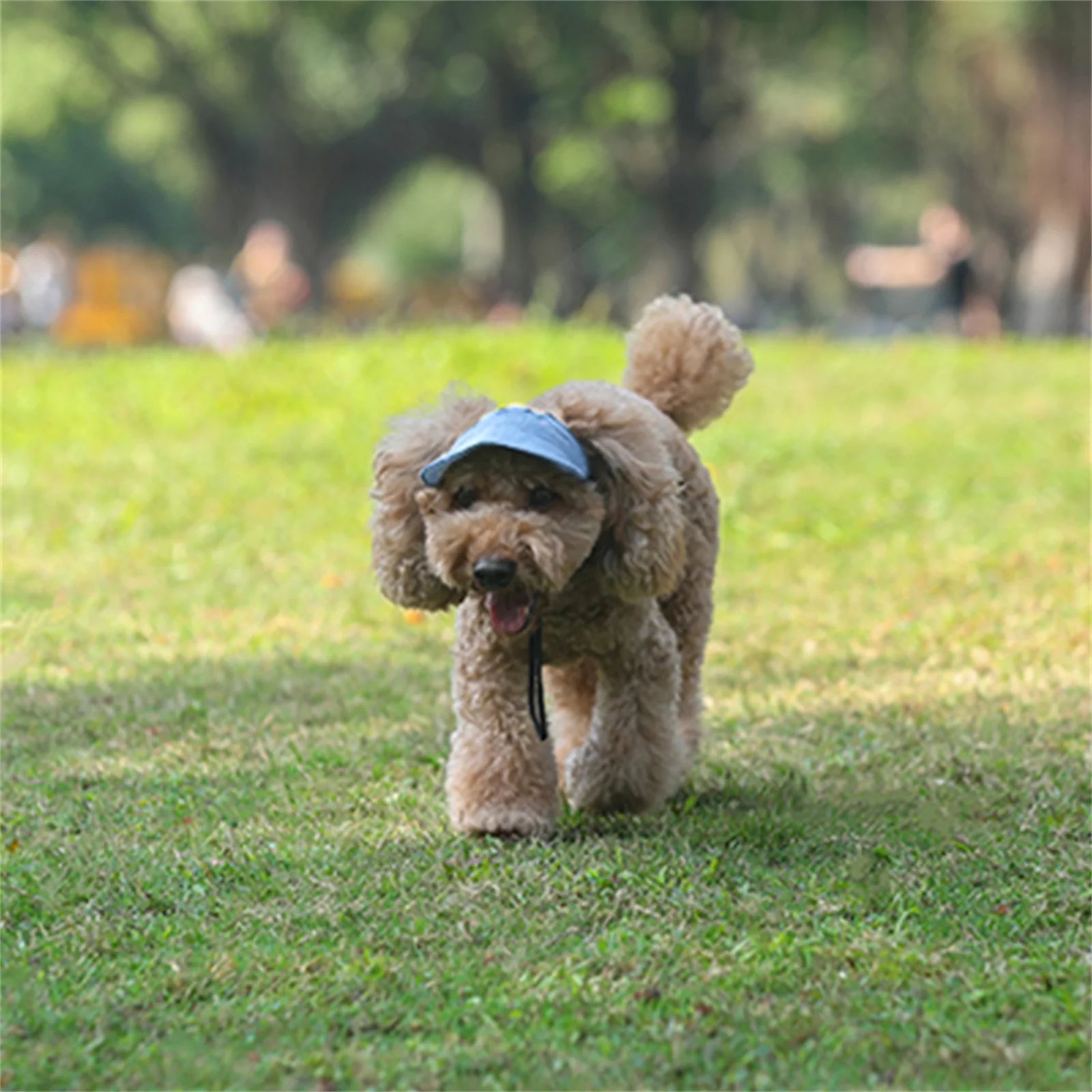 Adjustable Dog Travel Cute Baseball Hat 
