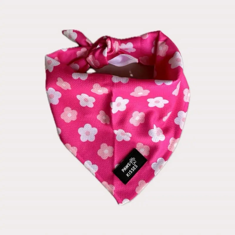 Cooling Bandanas for Dogs - Stay Cool in All Seasons!