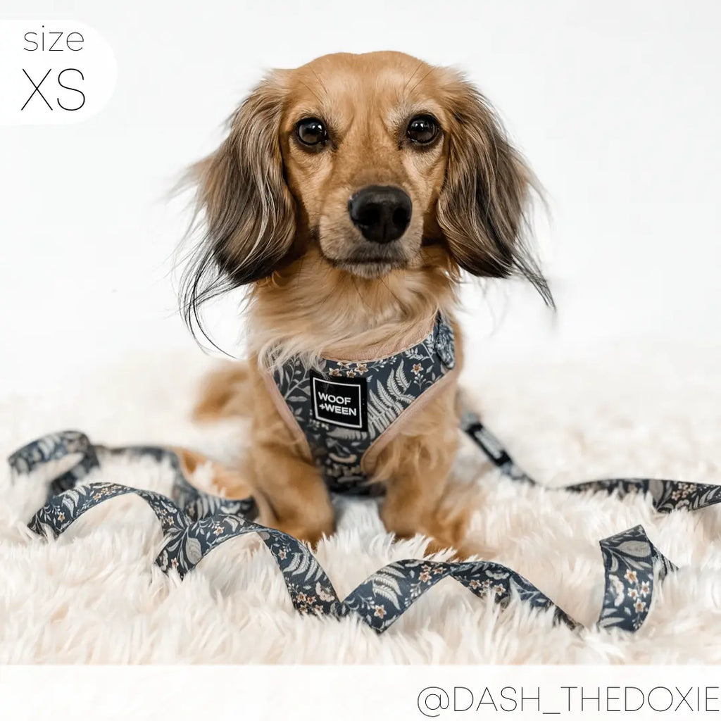 Adjustable  BOTANICAL PUP Blue Plant Dog Harness