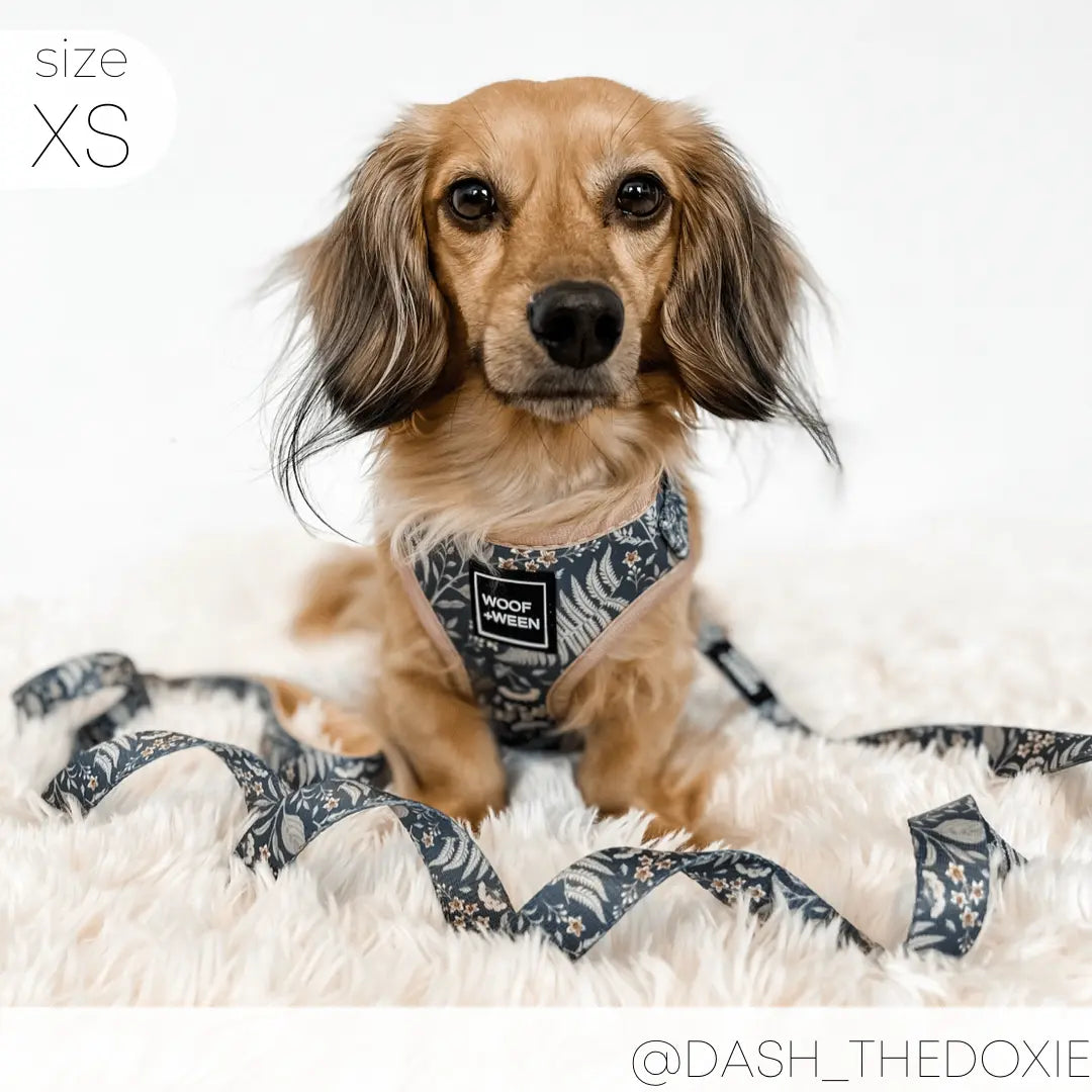 Adjustable  BOTANICAL PUP Blue Plant Dog Harness