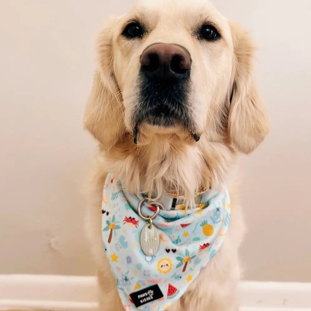Cooling Bandanas for Dogs - Stay Cool in All Seasons!