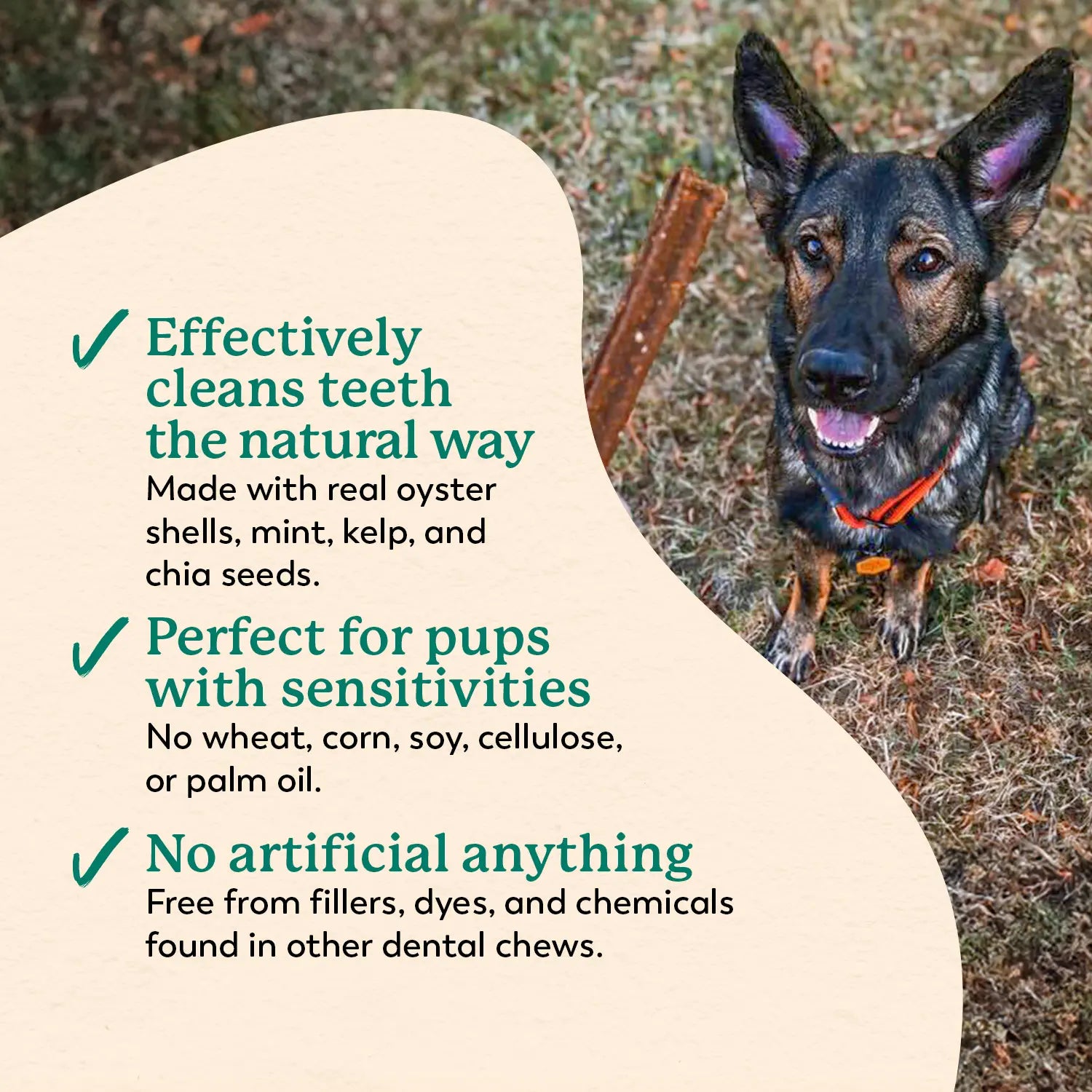 Dr. Harvey'S Holistix Dental Chews for Dogs -(24 Sticks)