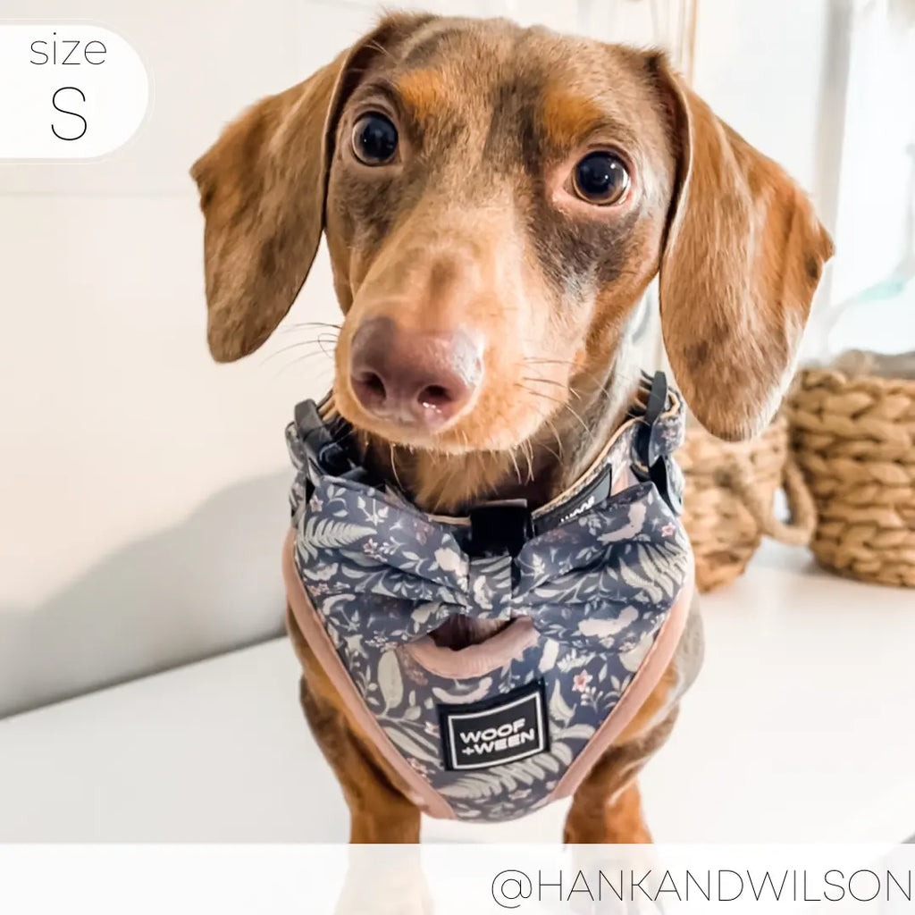 Adjustable  BOTANICAL PUP Blue Plant Dog Harness