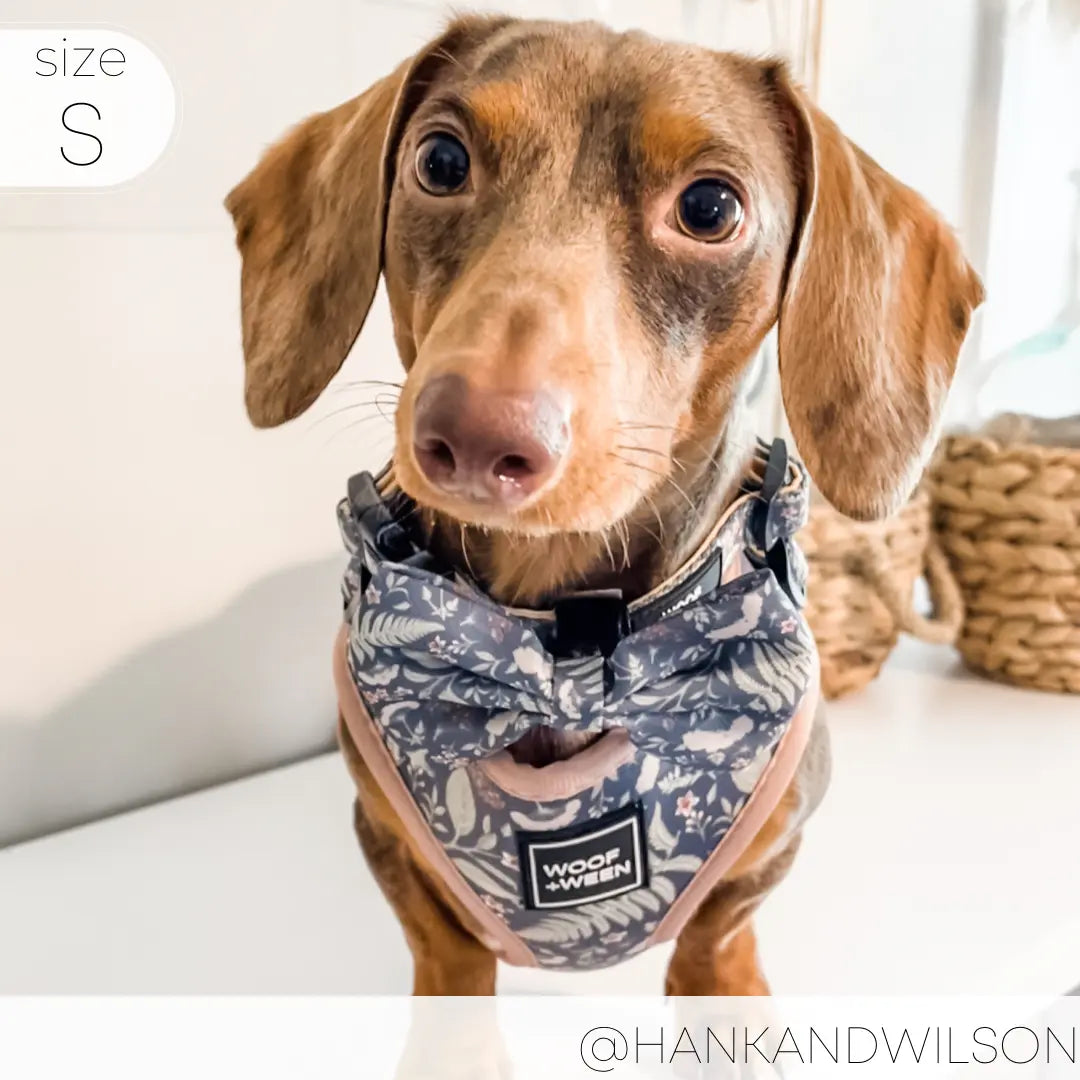 Adjustable  BOTANICAL PUP Blue Plant Dog Harness