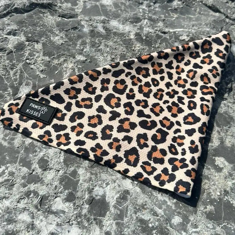 Cooling Bandanas for Dogs - Stay Cool in All Seasons!