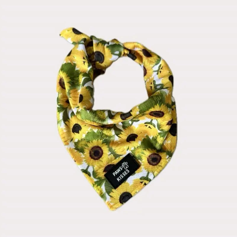 Cooling Bandanas for Dogs - Stay Cool in All Seasons!