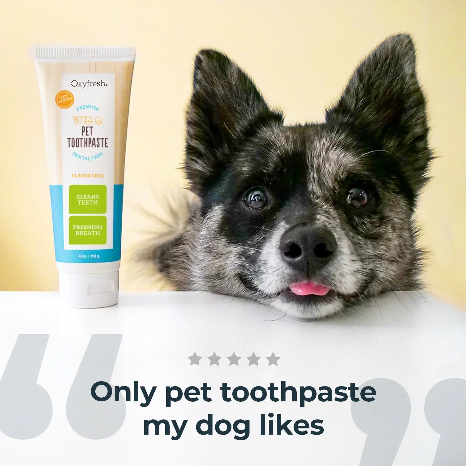 Premium Dog and Cat Toothpaste 