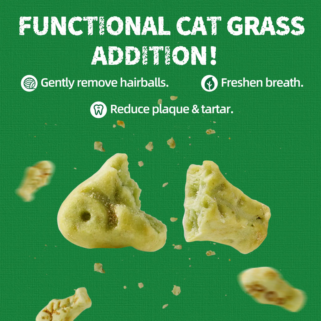 Just Try 2PCS Cat Grass Treats with Salmon & Catnip | Hairball Control and Training Treats | Teeth Cleaning Snack Reduce Plaque (13.4Oz, Salmon & Catnip Flavor)