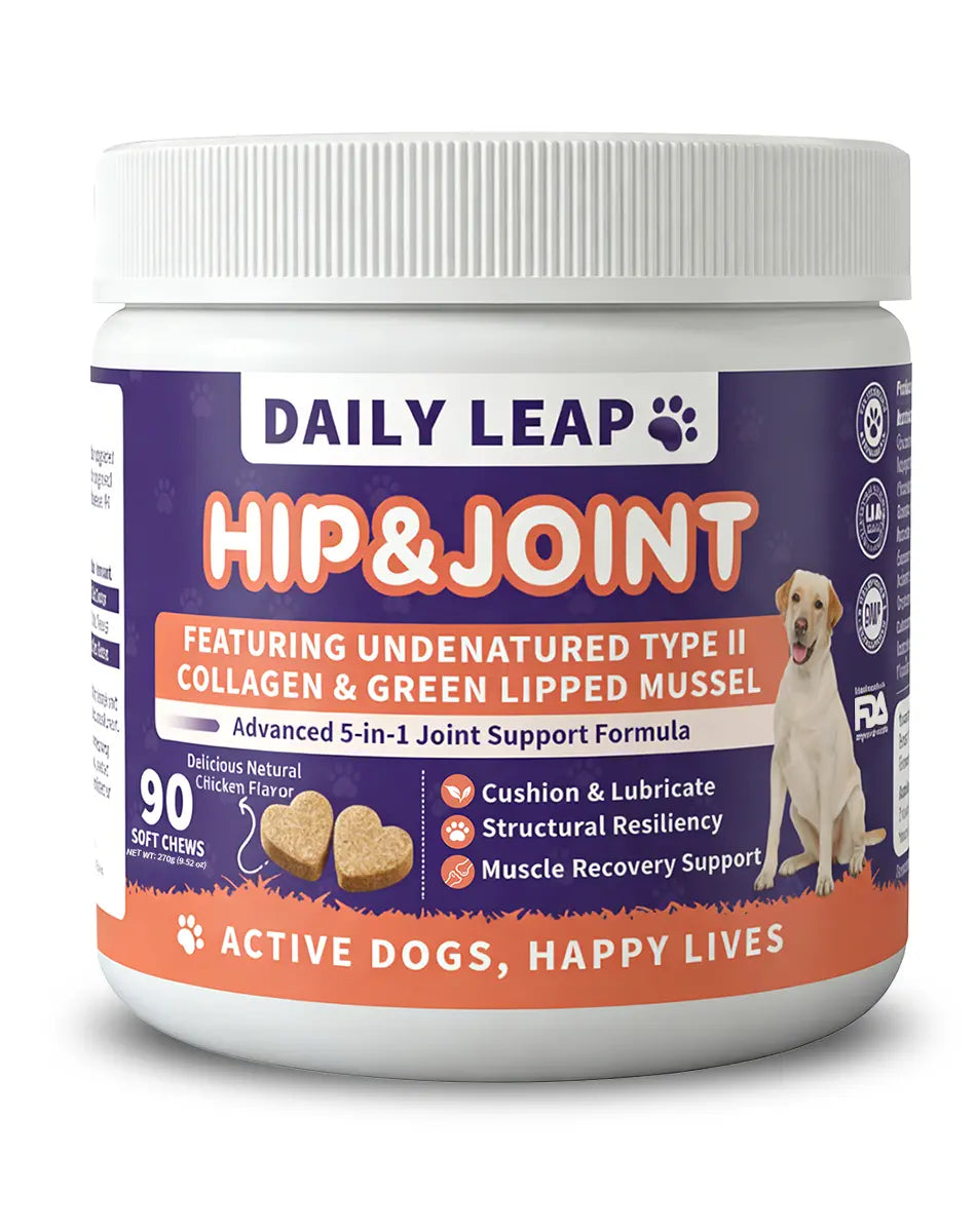 Dailyleap - Supports Hip & Joint Health, 90 Soft Chews