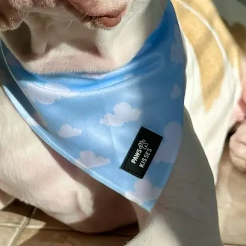 Cooling Bandanas for Dogs - Stay Cool in All Seasons!