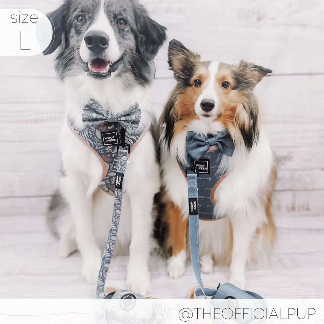 Adjustable  BOTANICAL PUP Blue Plant Dog Harness