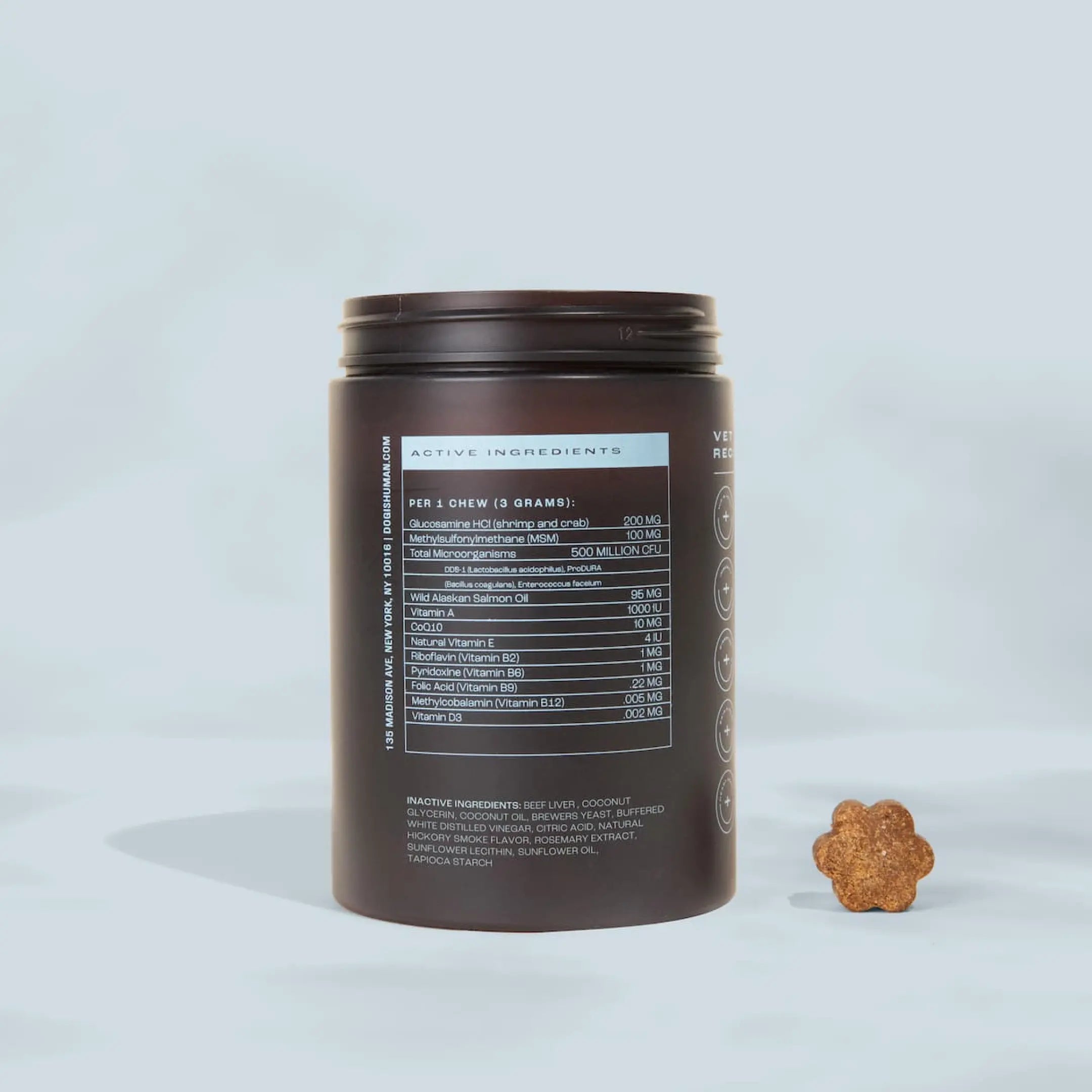Dog Is Human Daily Multivitamin for Dogs (Beef Flavor) Vet-Formulated
