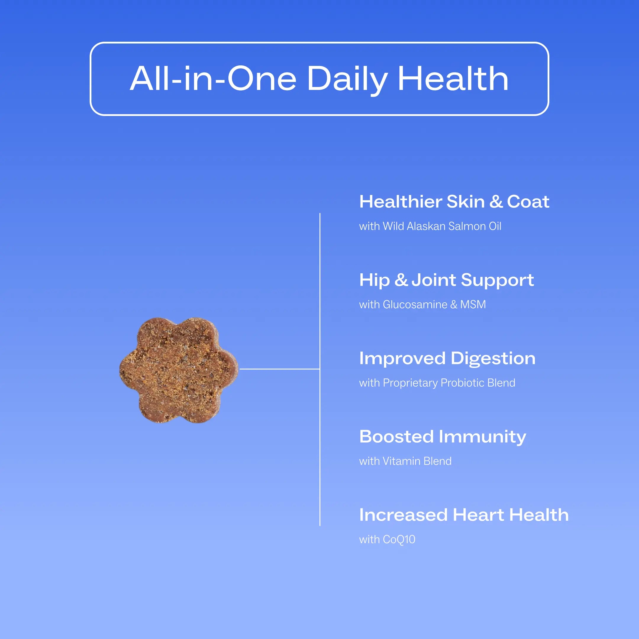 Dog Is Human Daily Multivitamin for Dogs (Beef Flavor) Vet-Formulated