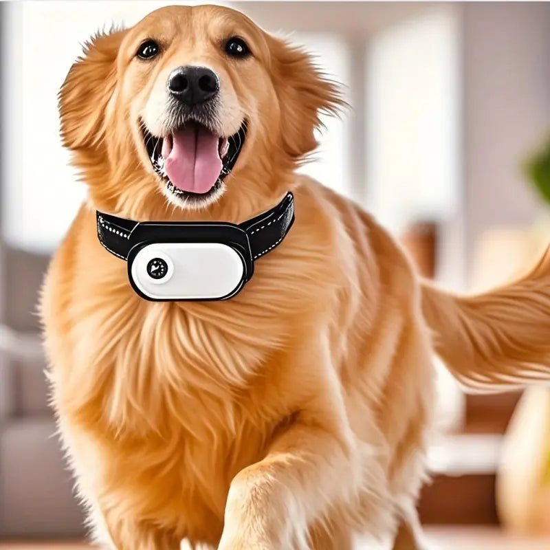 Rotating Camera Dog/Cat Collar, High-Definition 1080P 