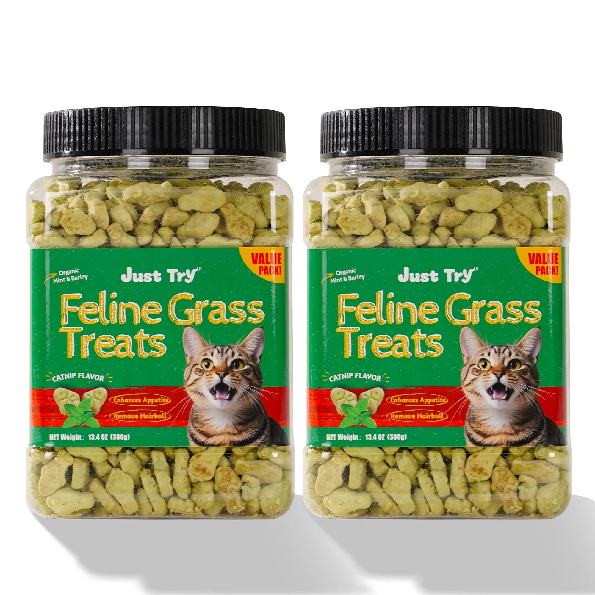 Just Try 2PCS Cat Grass Treats with Salmon & Catnip | Hairball Control and Training Treats | Teeth Cleaning Snack Reduce Plaque (13.4Oz, Salmon & Catnip Flavor)
