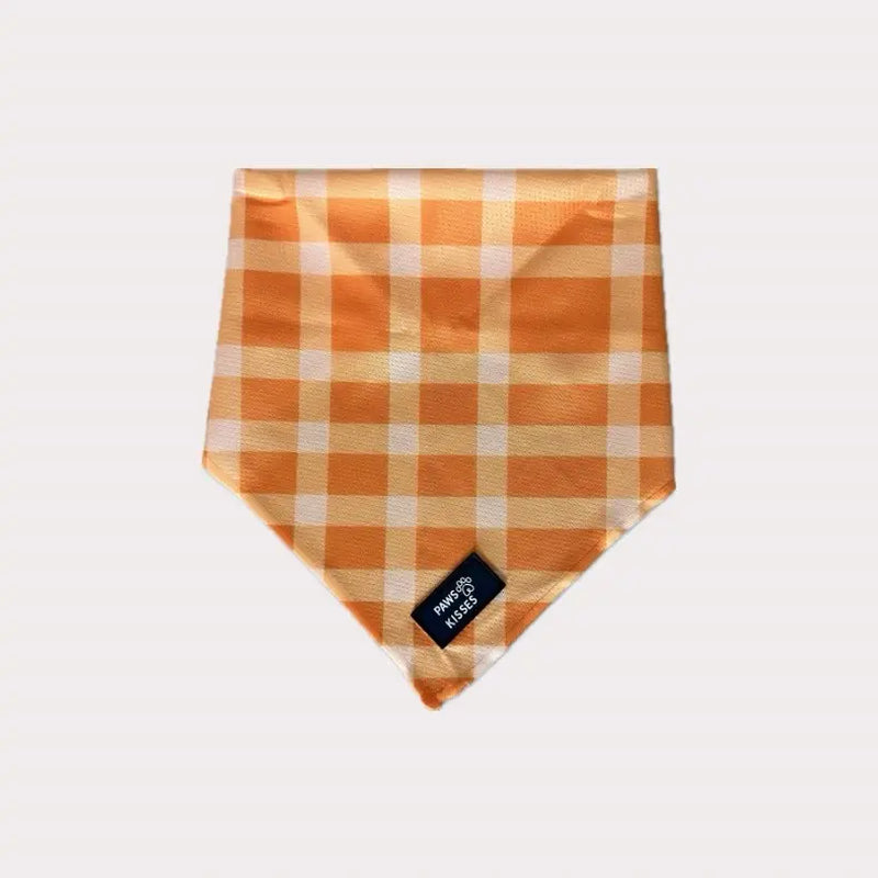 Cooling Bandanas for Dogs - Stay Cool in All Seasons!