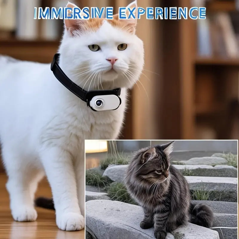 Rotating Camera Dog/Cat Collar, High-Definition 1080P 