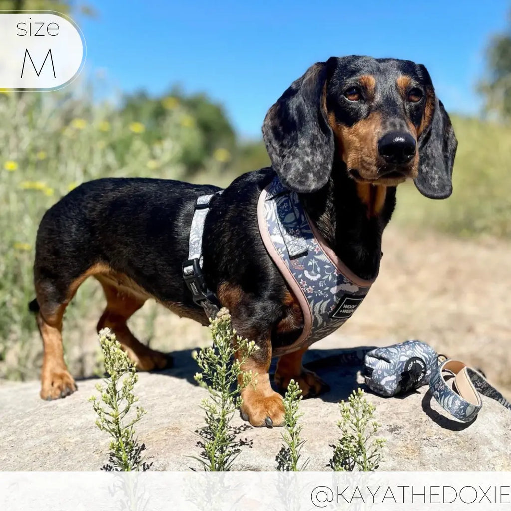 Adjustable  BOTANICAL PUP Blue Plant Dog Harness