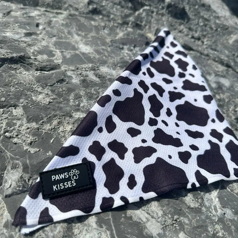 Cooling Bandanas for Dogs - Stay Cool in All Seasons!