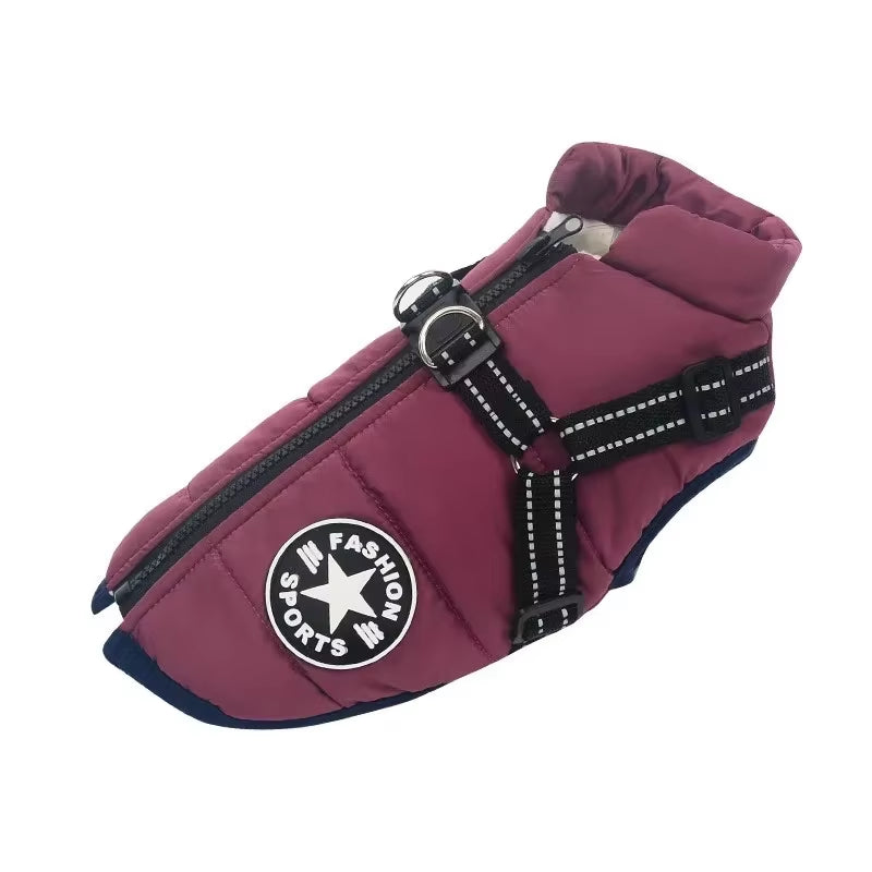  Dog Jacket with Harness