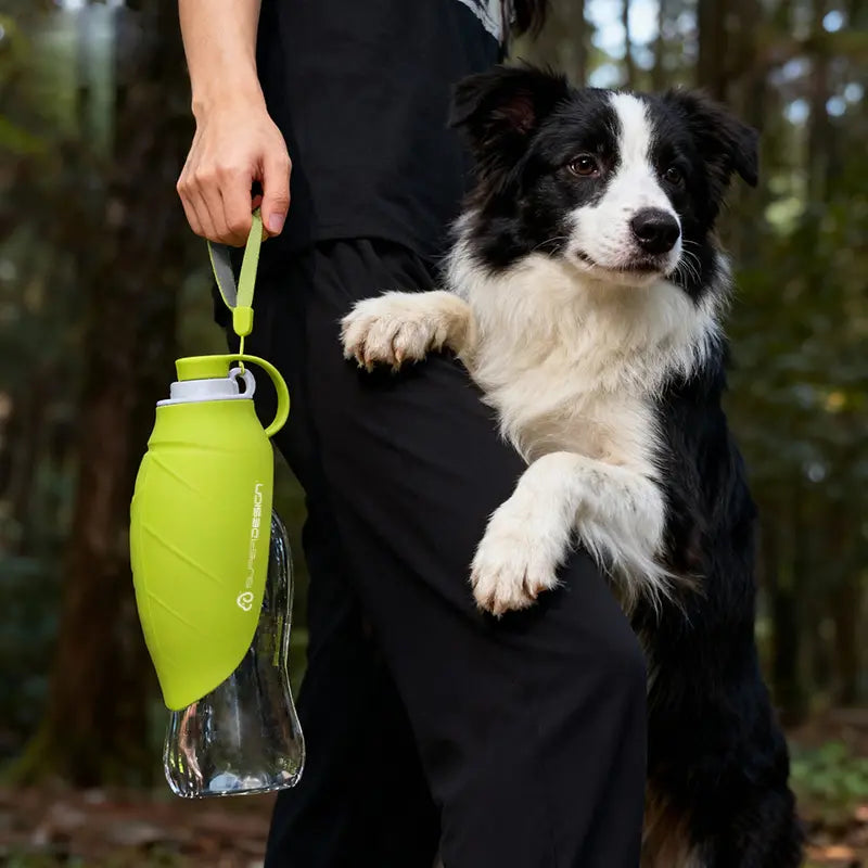Pet Water Bottle for Dogs and Cats, Essential!