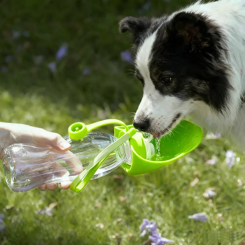 Pet Water Bottle for Dogs and Cats, Essential!